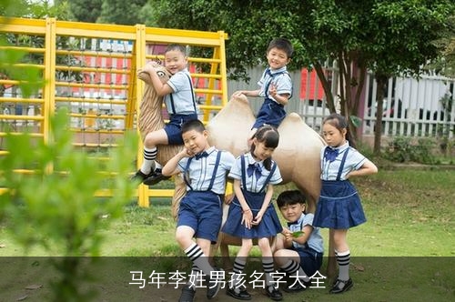 马年李姓男孩名字大全