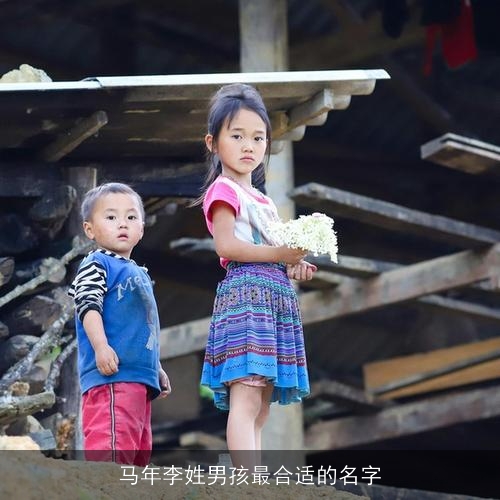 马年李姓男孩最合适的名字