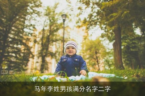 马年李姓男孩满分名字二字
