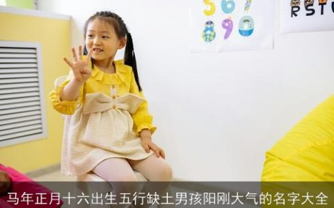马年正月十六出生五行缺土男孩阳刚大气的名字大全