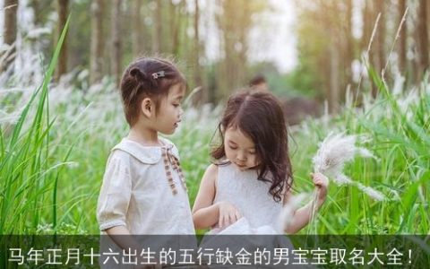 马年正月十六出生的五行缺金的男宝宝取名大全！