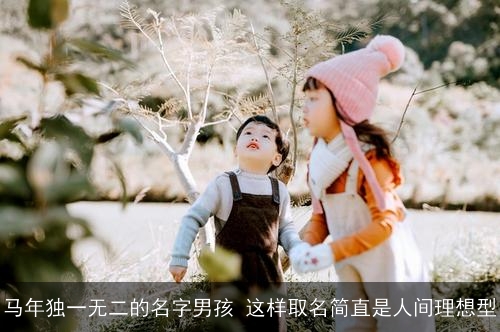马年独一无二的名字男孩 这样取名简直是人间理想型