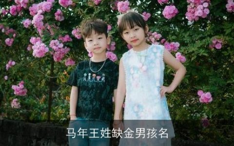 马年王姓缺金男孩名