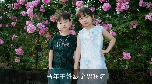 马年王姓缺金男孩名