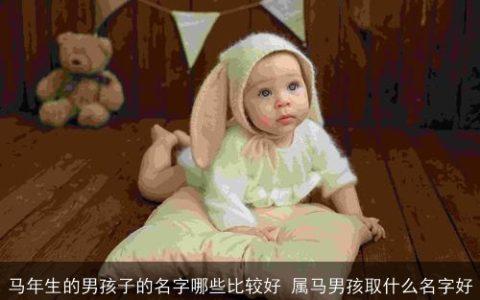 马年生的男孩子的名字哪些比较好 属马男孩取什么名字好