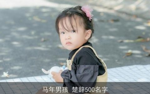 马年男孩 楚辞500名字