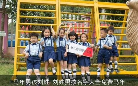 马年男孩刘姓 刘姓男孩名字大全免费马年