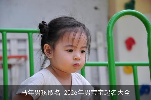 马年男孩取名 2026年男宝宝起名大全