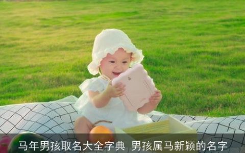 马年男孩取名大全字典 男孩属马新颖的名字