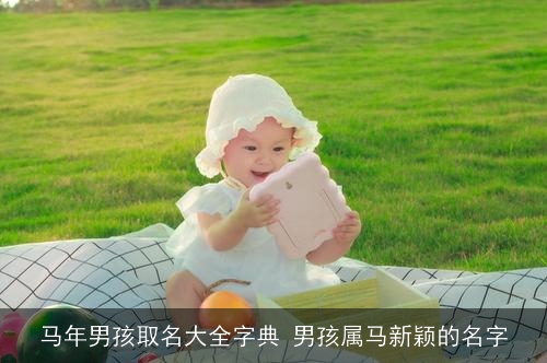 马年男孩取名大全字典 男孩属马新颖的名字