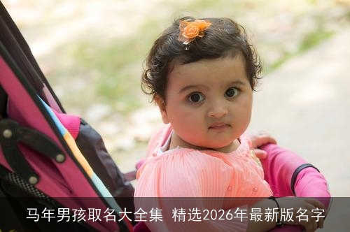 马年男孩取名大全集 精选2026年最新版名字