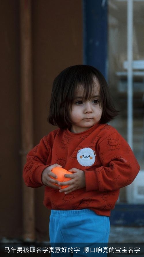 马年男孩取名字寓意好的字 顺口响亮的宝宝名字