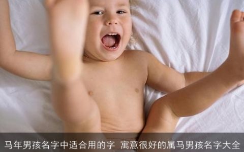 马年男孩名字中适合用的字 寓意很好的属马男孩名字大全
