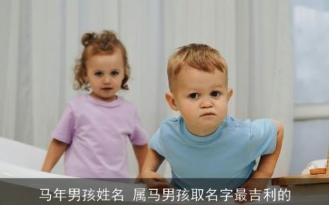 马年男孩姓名 属马男孩取名字最吉利的
