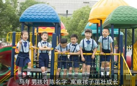 马年男孩姓陈名字 寓意孩子茁壮成长