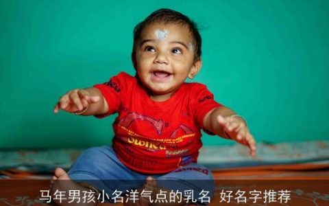 马年男孩小名洋气点的乳名 好名字推荐