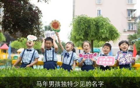 马年男孩独特少见的名字