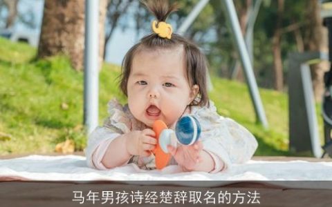 马年男孩诗经楚辞取名的方法