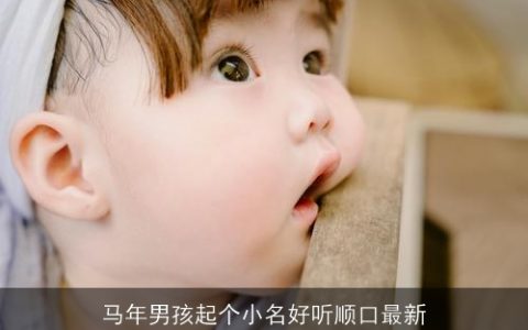 马年男孩起个小名好听顺口最新