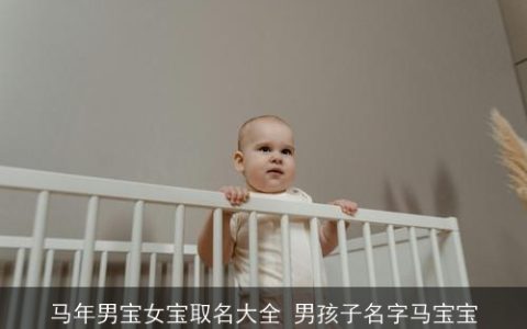 马年男宝女宝取名大全 男孩子名字马宝宝