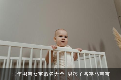 马年男宝女宝取名大全 男孩子名字马宝宝