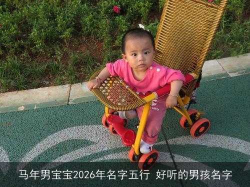 马年男宝宝2026年名字五行 好听的男孩名字