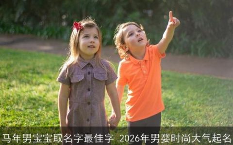 马年男宝宝取名字最佳字 2026年男婴时尚大气起名