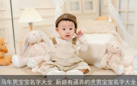 马年男宝宝名字大全 新颖有涵养的虎男宝宝名字大全