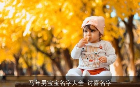 马年男宝宝名字大全 讨喜名字
