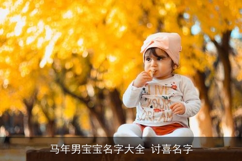 马年男宝宝名字大全 讨喜名字