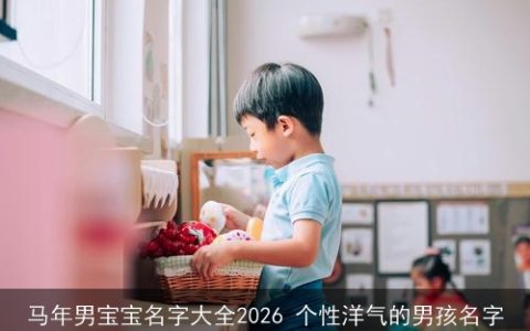 马年男宝宝名字大全2026 个性洋气的男孩名字