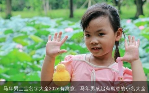 马年男宝宝名字大全2026有寓意，马年男孩起有寓意的小名大全