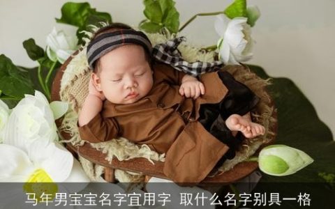 马年男宝宝名字宜用字 取什么名字别具一格