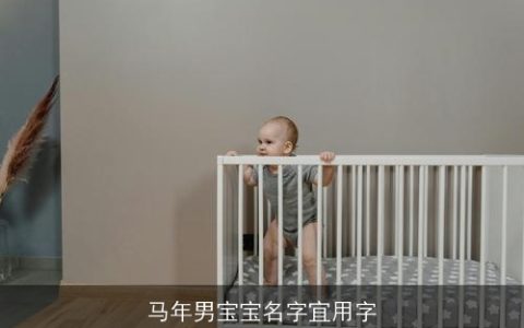 马年男宝宝名字宜用字