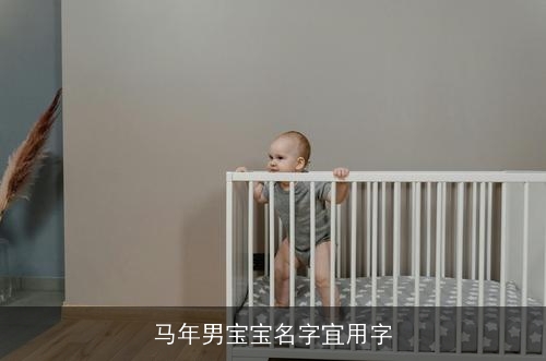 马年男宝宝名字宜用字