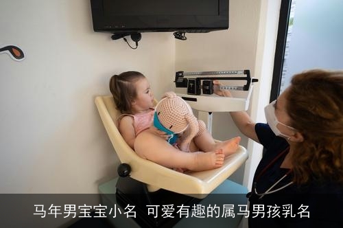 马年男宝宝小名 可爱有趣的属马男孩乳名