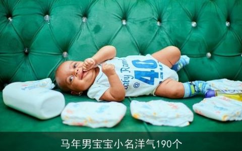 马年男宝宝小名洋气190个