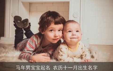 马年男宝宝起名 农历十一月出生名字