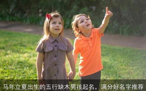 马年立夏出生的五行缺木男孩起名，满分好名字推荐