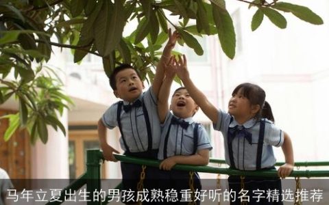 马年立夏出生的男孩成熟稳重好听的名字精选推荐