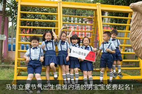 马年立夏节气出生儒雅内涵的男宝宝免费起名！