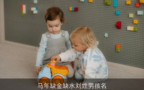 马年缺金缺水刘姓男孩名
