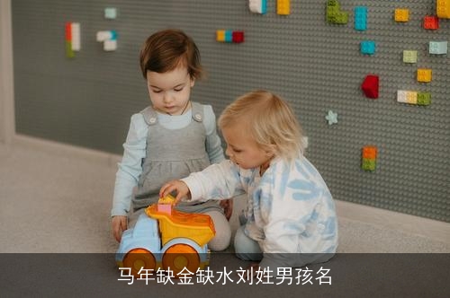 马年缺金缺水刘姓男孩名