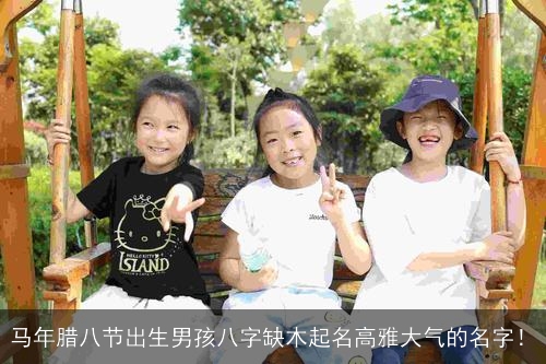 马年腊八节出生男孩八字缺木起名高雅大气的名字！