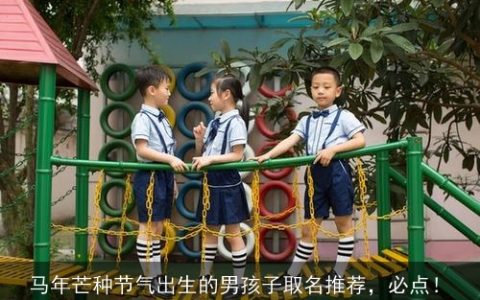 马年芒种节气出生的男孩子取名推荐，必点！