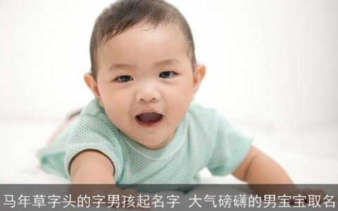 马年草字头的字男孩起名字 大气磅礴的男宝宝取名