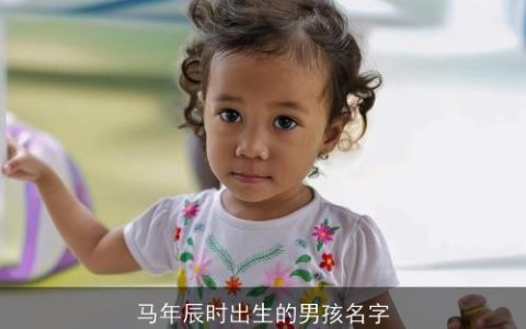 马年辰时出生的男孩名字