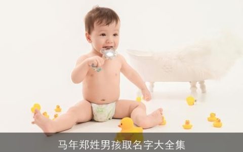 马年郑姓男孩取名字大全集