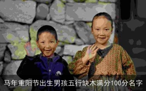 马年重阳节出生男孩五行缺木满分100分名字