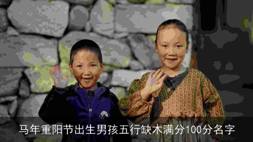 马年重阳节出生男孩五行缺木满分100分名字